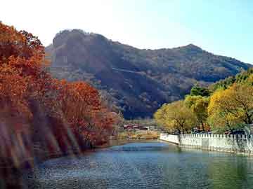 新澳天天开奖资料大全旅游团，霸主的冷酷宝贝